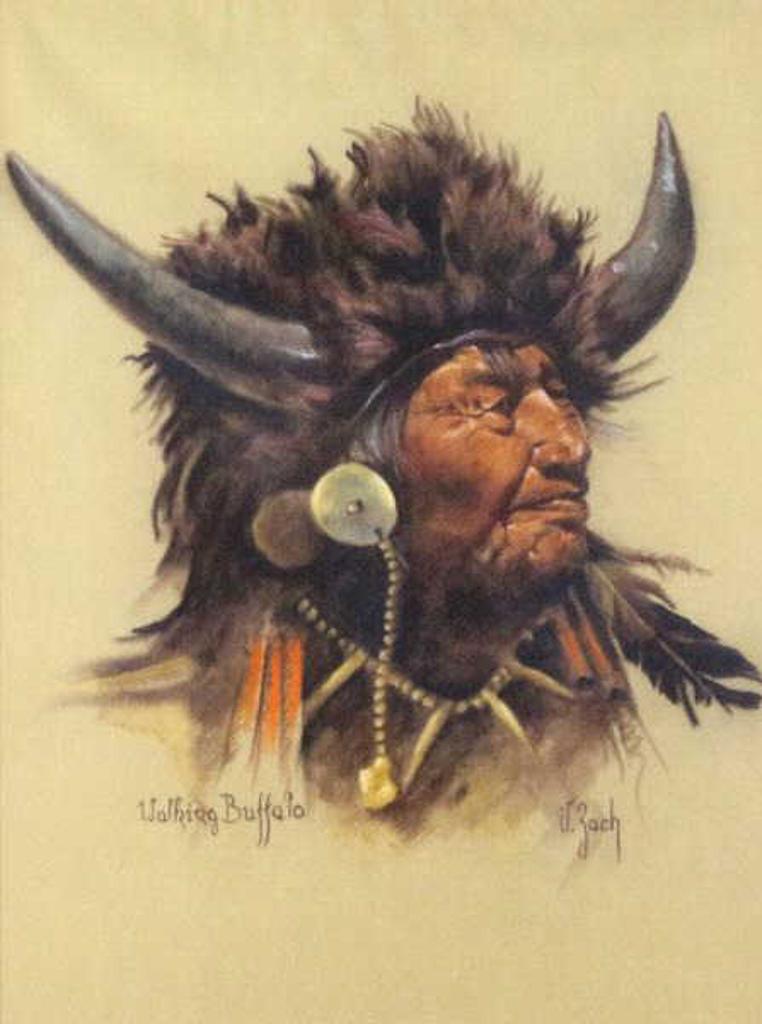 Vilem Zach (1946) - Walking Buffalo
