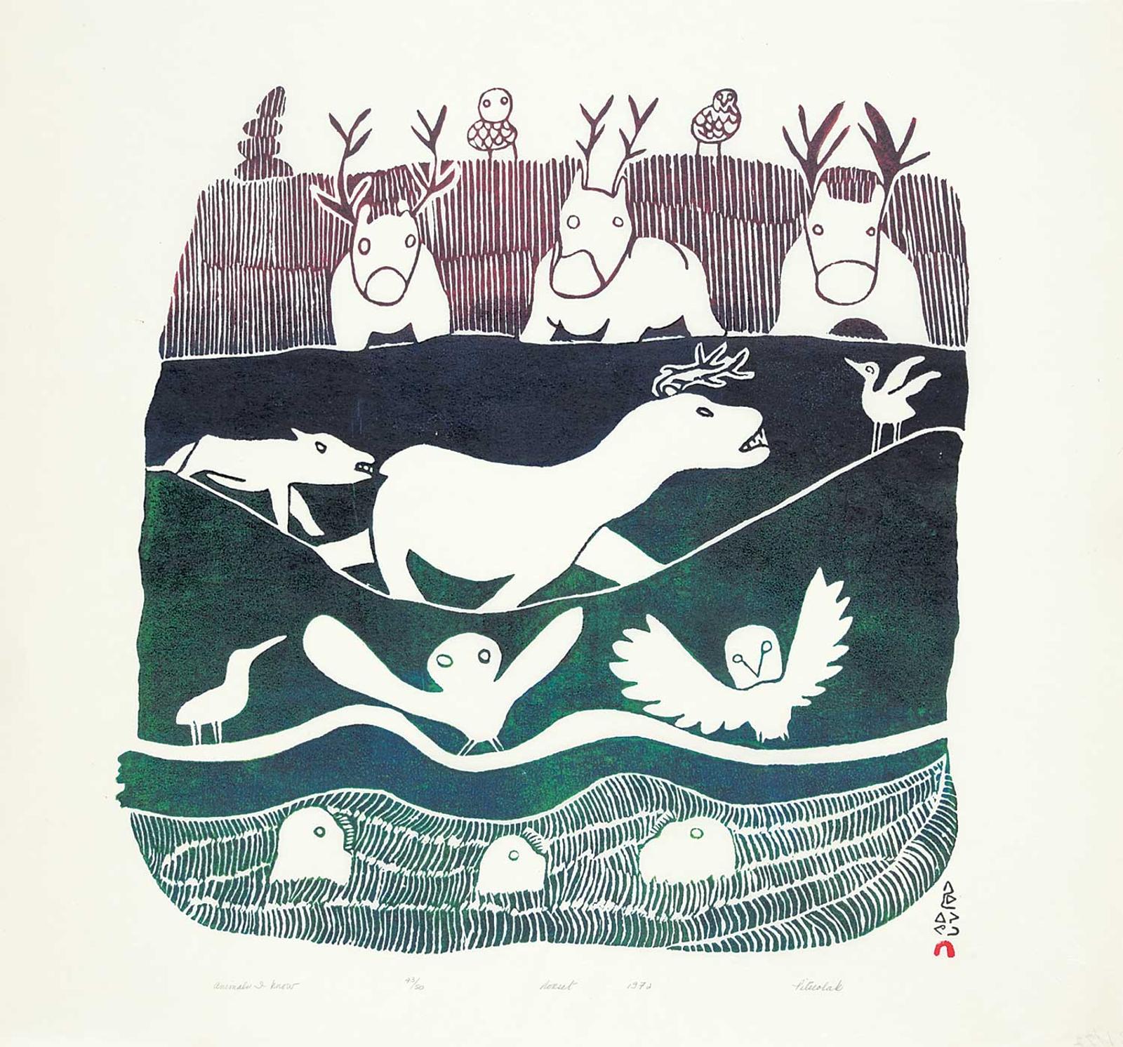 Pitseolak - Animals I Know #43/50