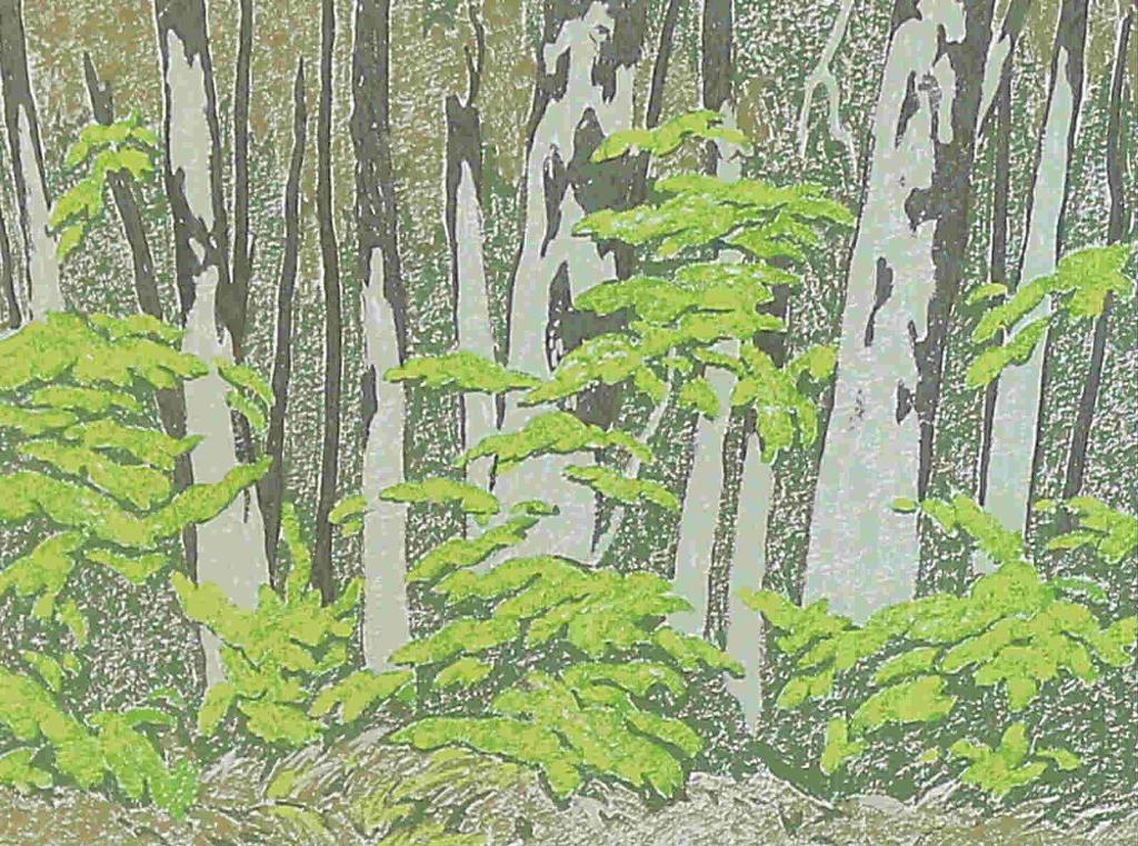 Alfred Joseph (A.J.) Casson (1898-1992) - Forest Edge