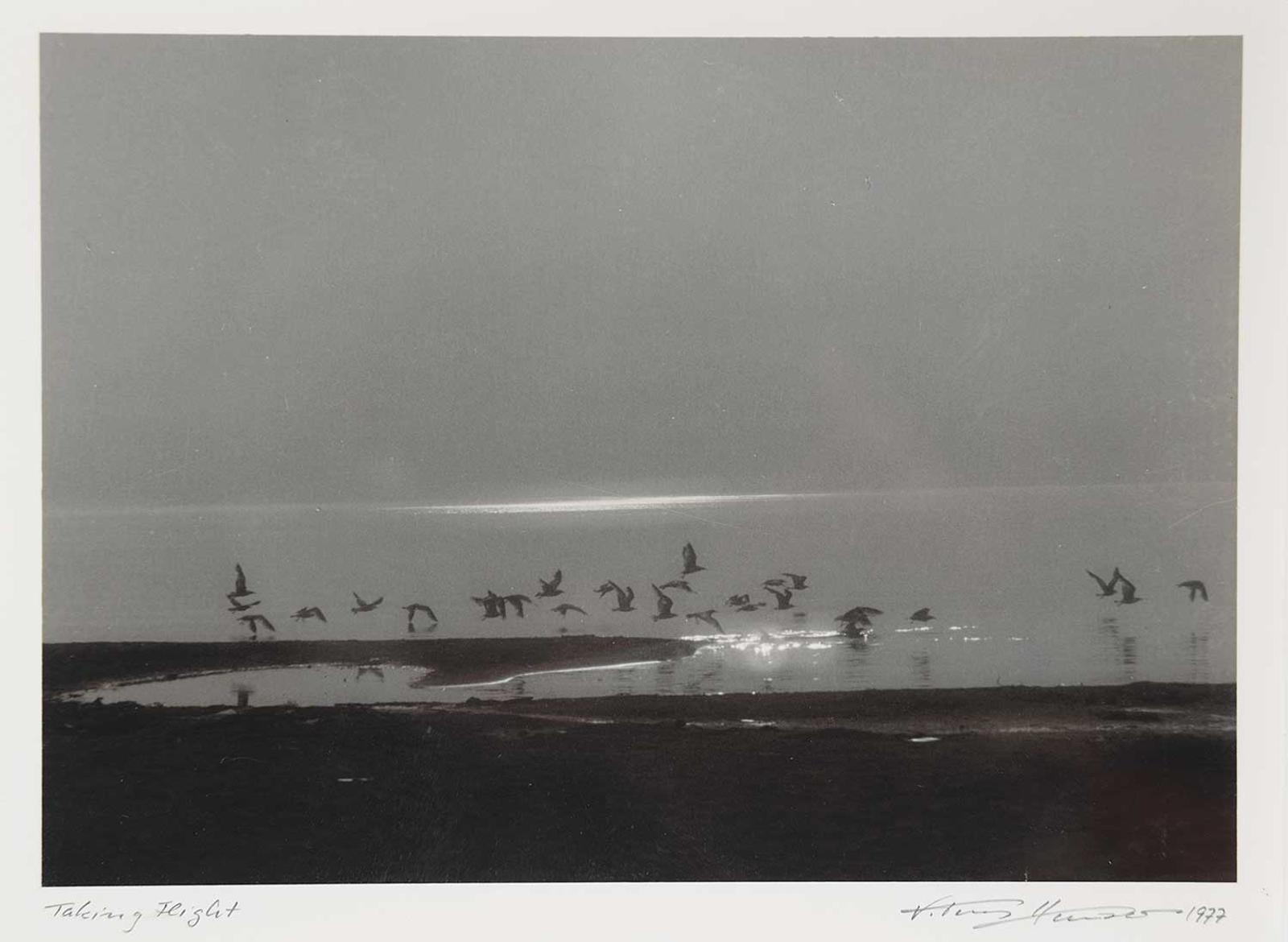 Tony Hauser - Taking Flight