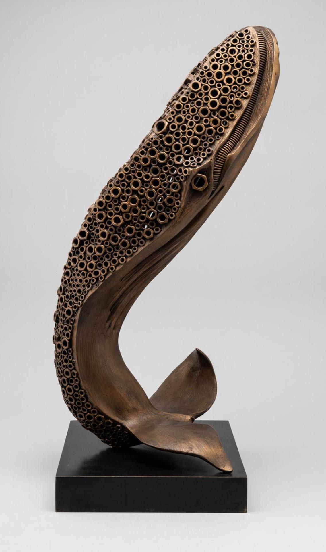 Carlos Rojas - Humpback