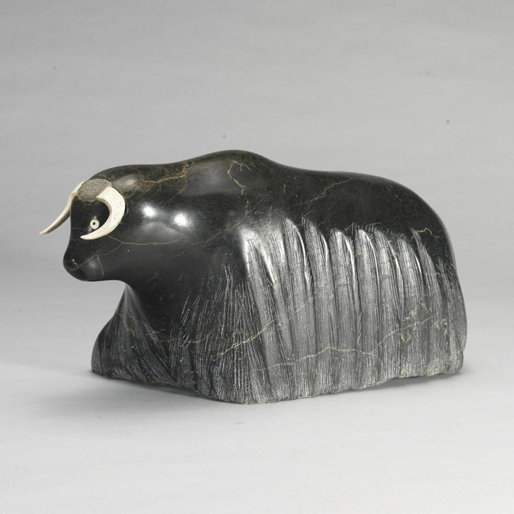Matusie - Musk Ox
