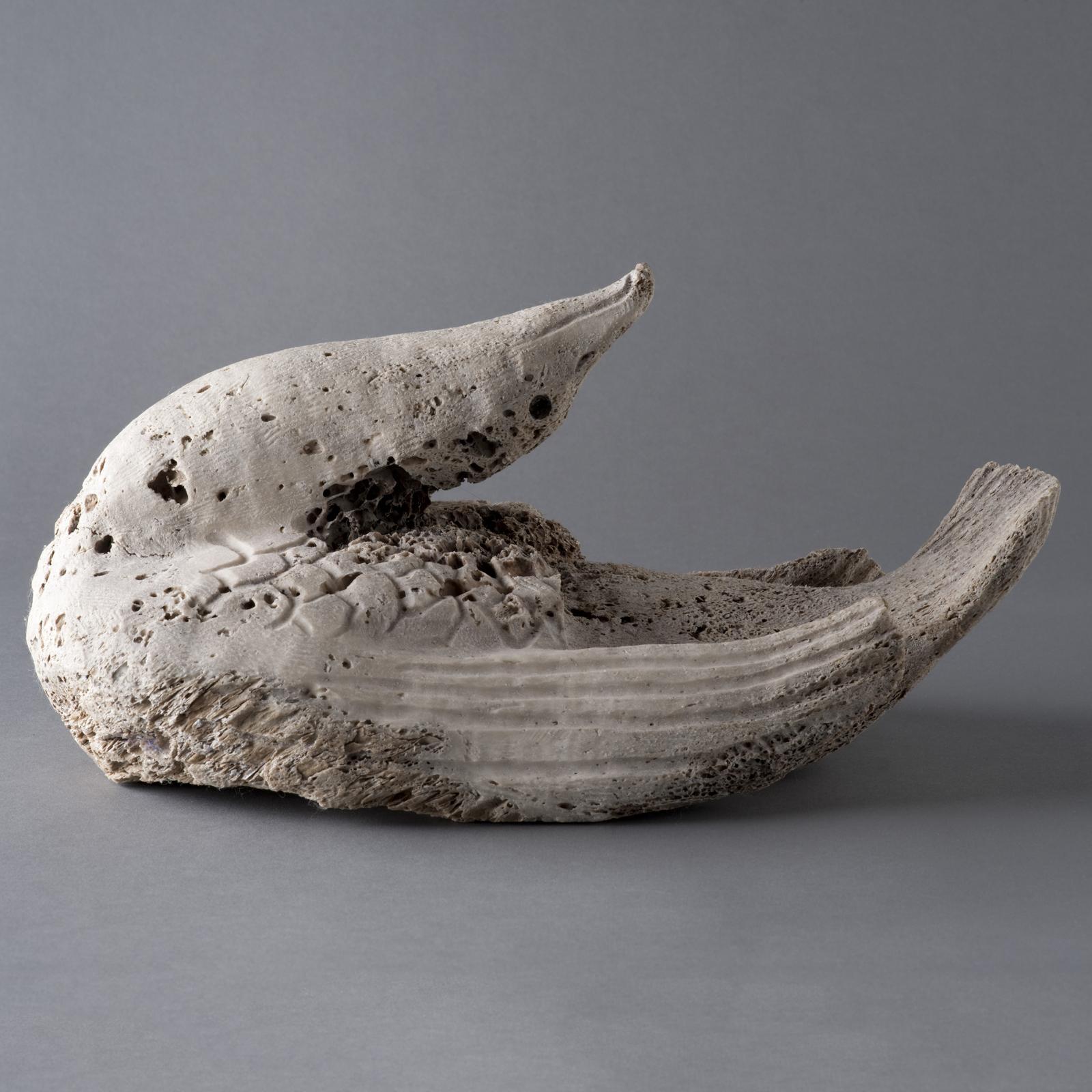 Johnny Joanas - Bird With Arched Back