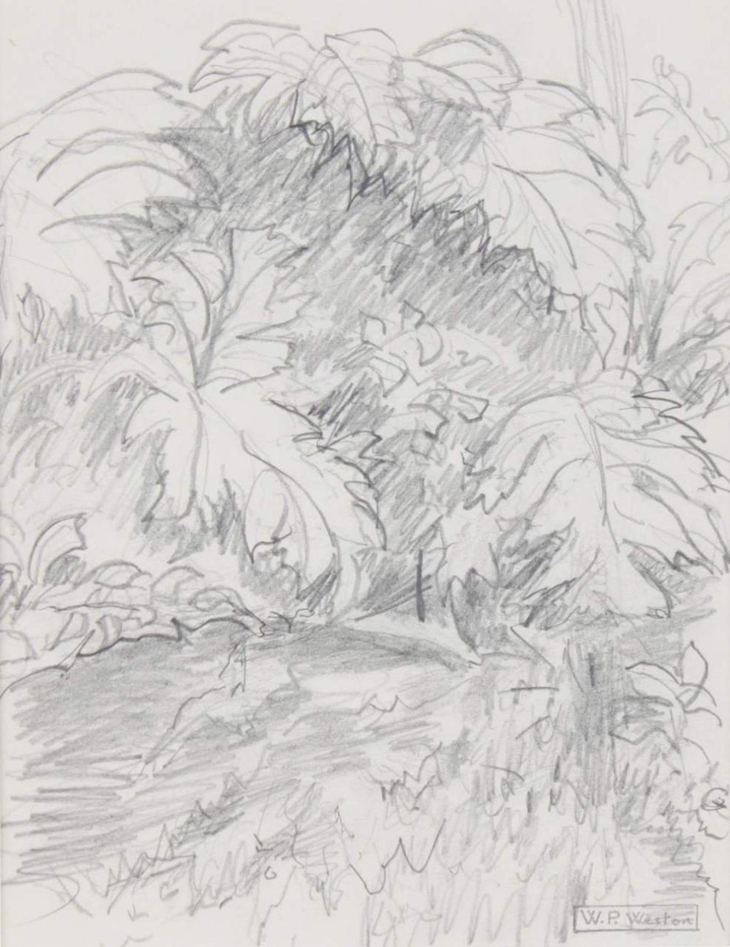 William Percival (W.P.) Weston (1879-1967) - Untitled-Garden Pool