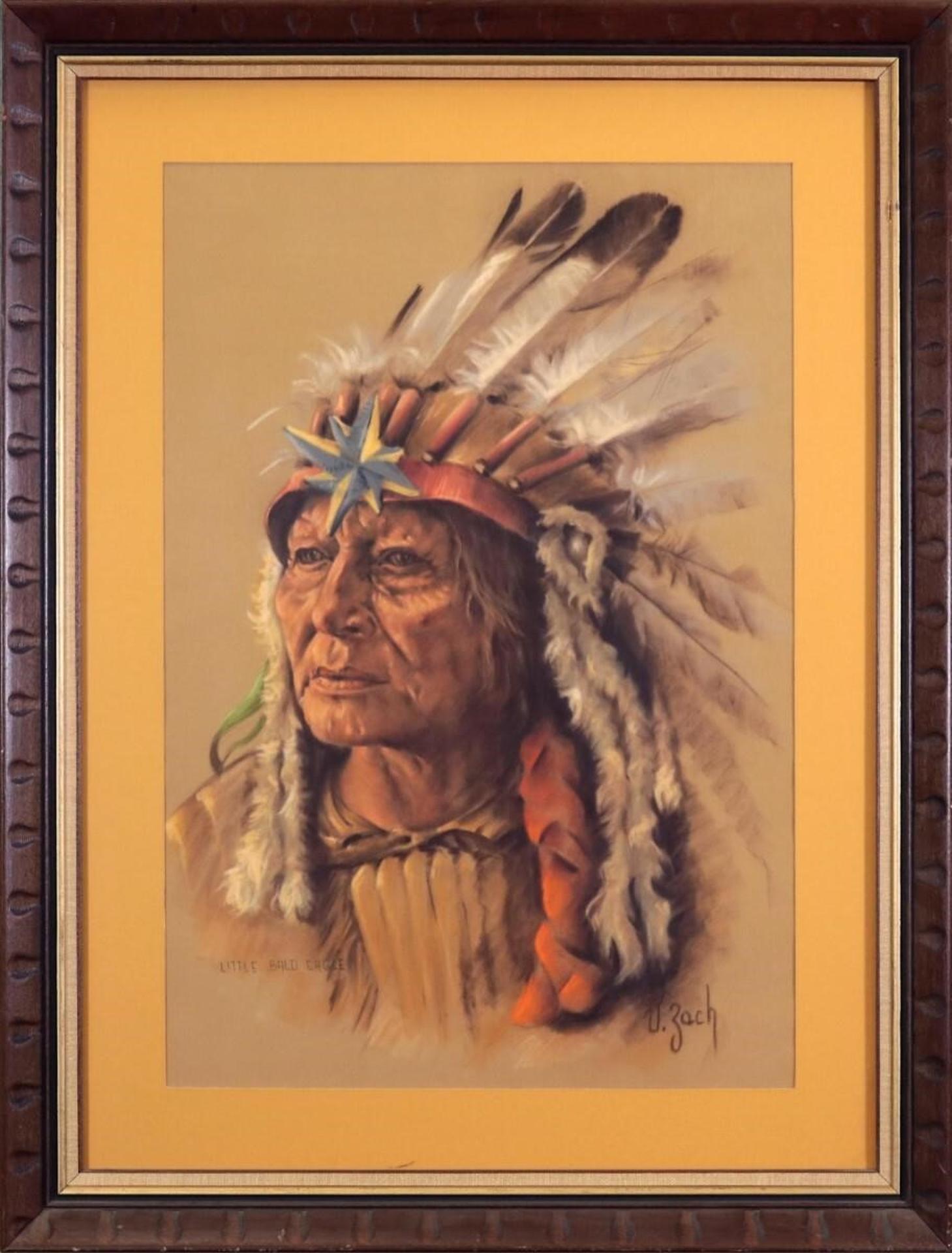 Vilem Zach (1946) - Little Bald Eagle