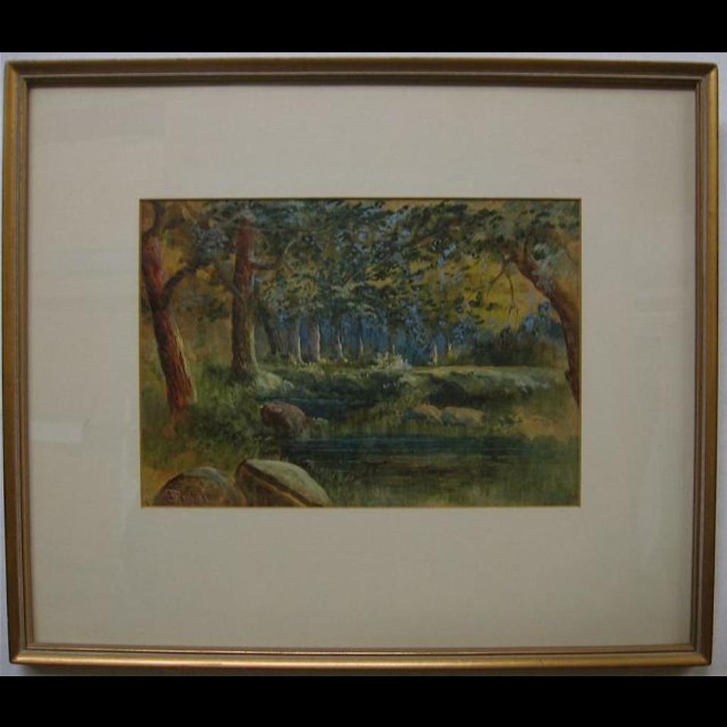 A.J. Pell - Woodland Pool