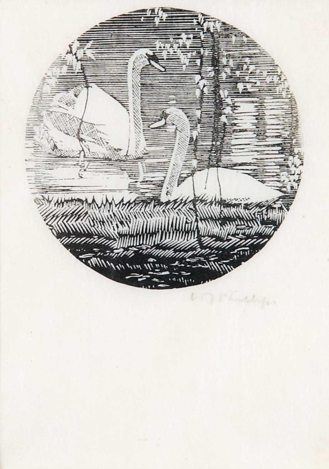 Walter Joseph (W.J.) Phillips (1884-1963) - Swans