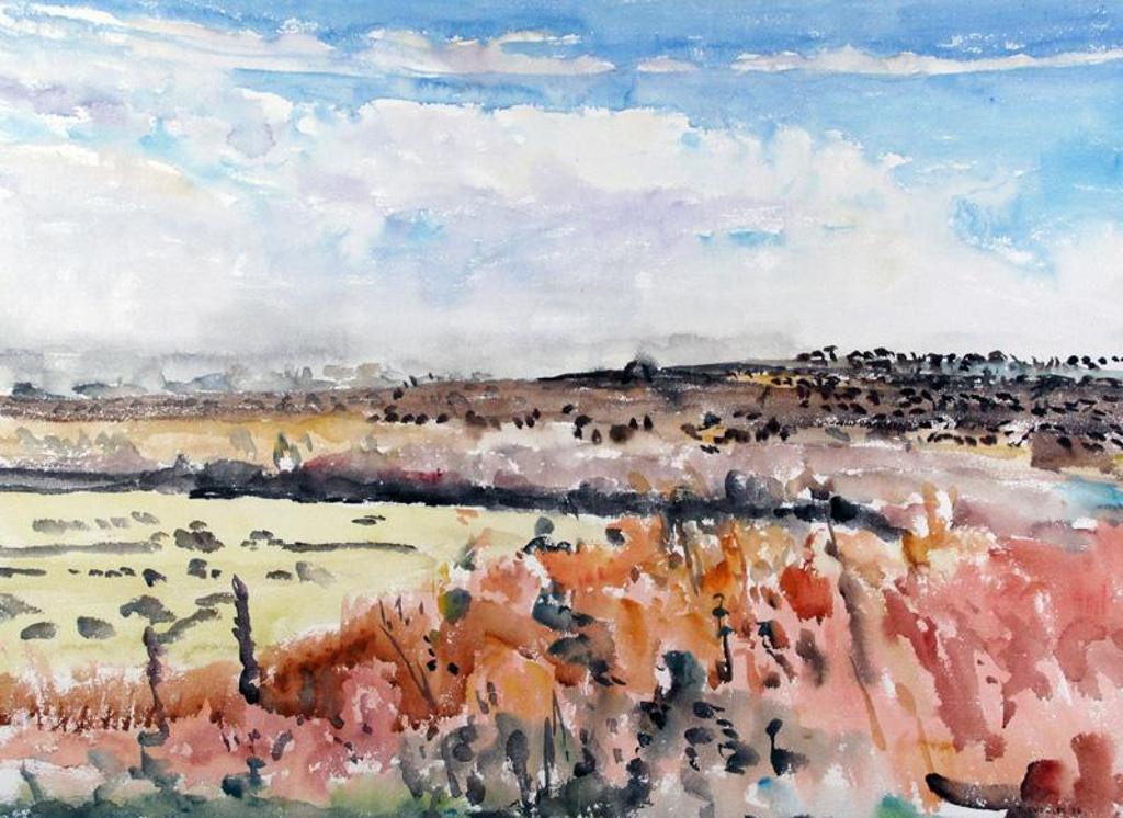Dorothy Elsie Knowles (1927-2001) - A Field Of Dead Sunflowers; 1976