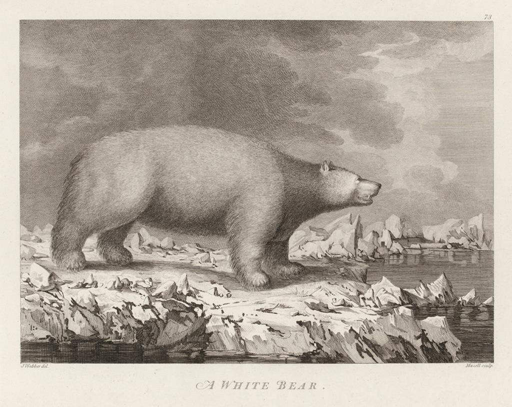 John Webber Ra (1751-1793) - English