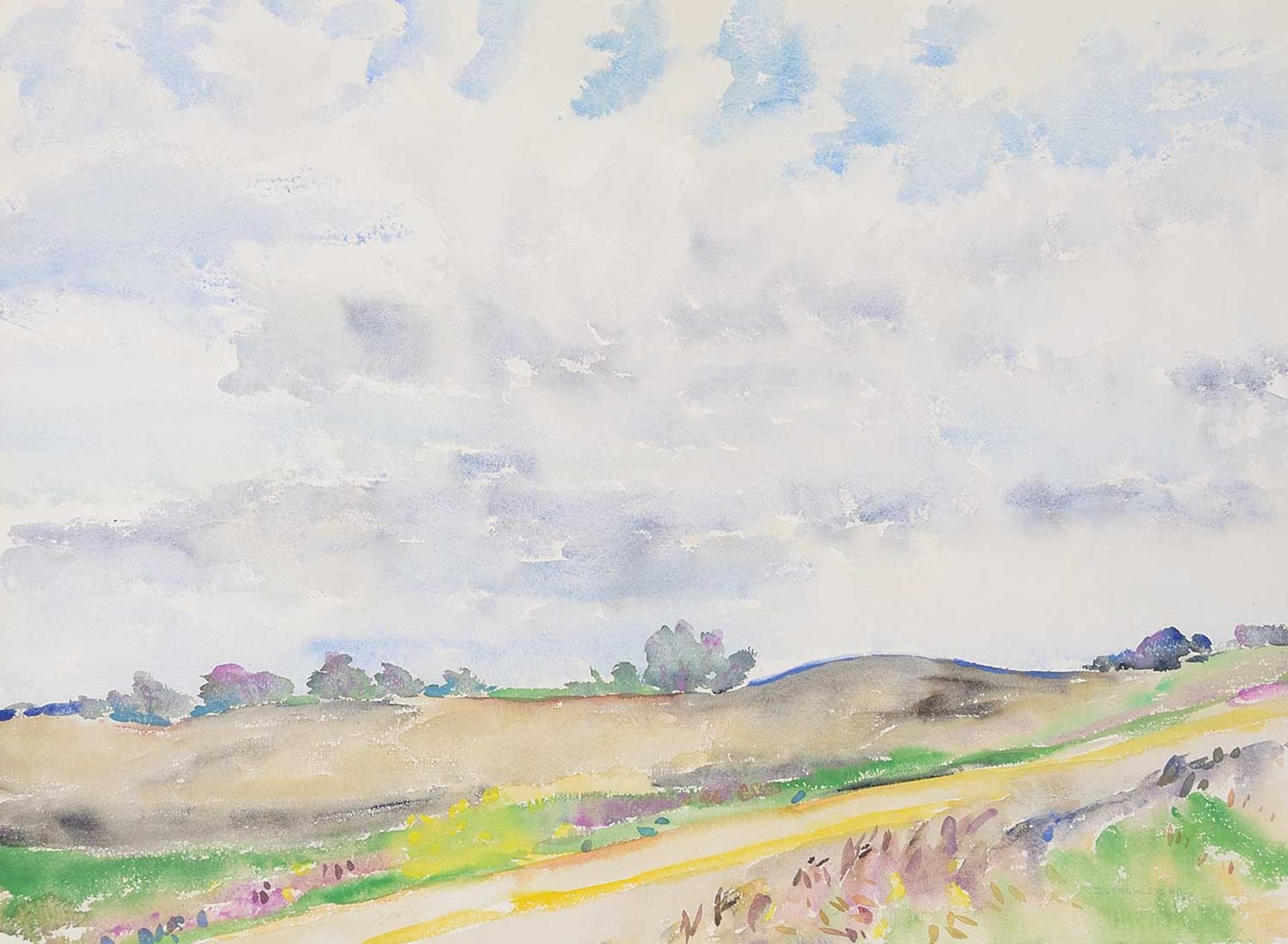 Dorothy Elsie Knowles (1927-2001) - Untitled - Summer Fields