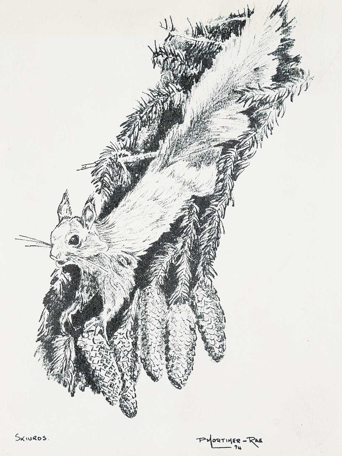 Peter Mortimer-Rae (1931) - Skiuros