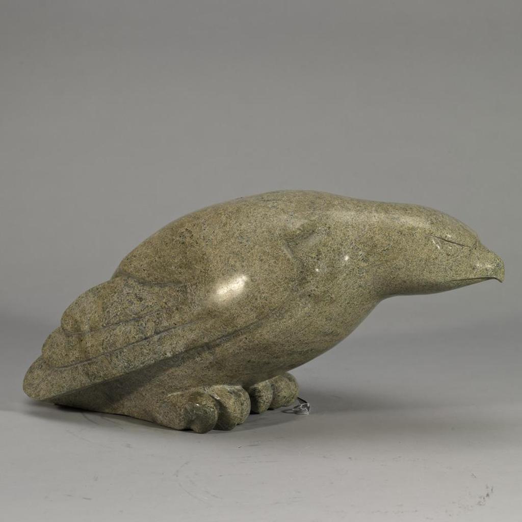 Oviloo Tunnillie (1949-2014) - Falcon