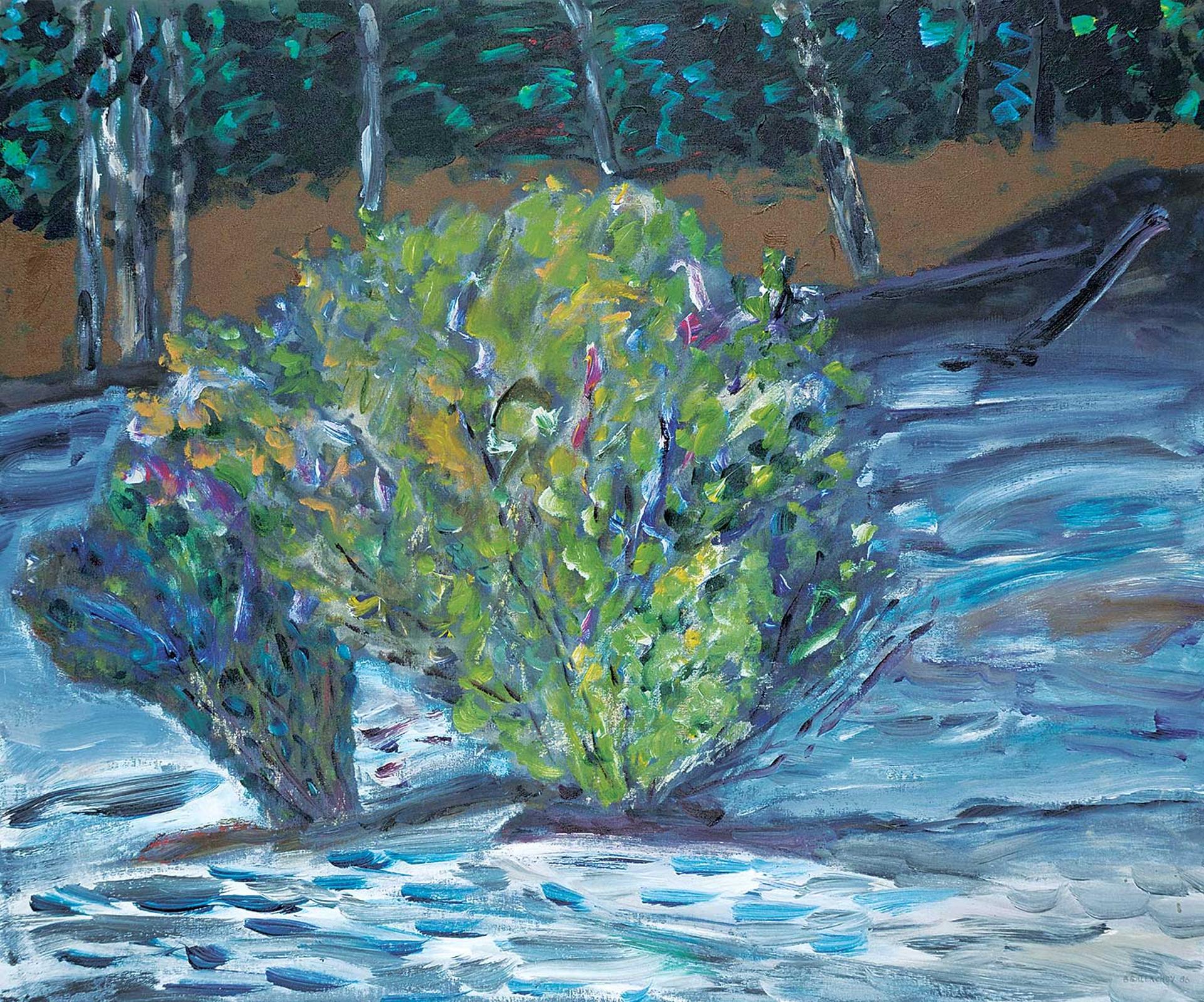 Barbara Ballachey (1949) - Night