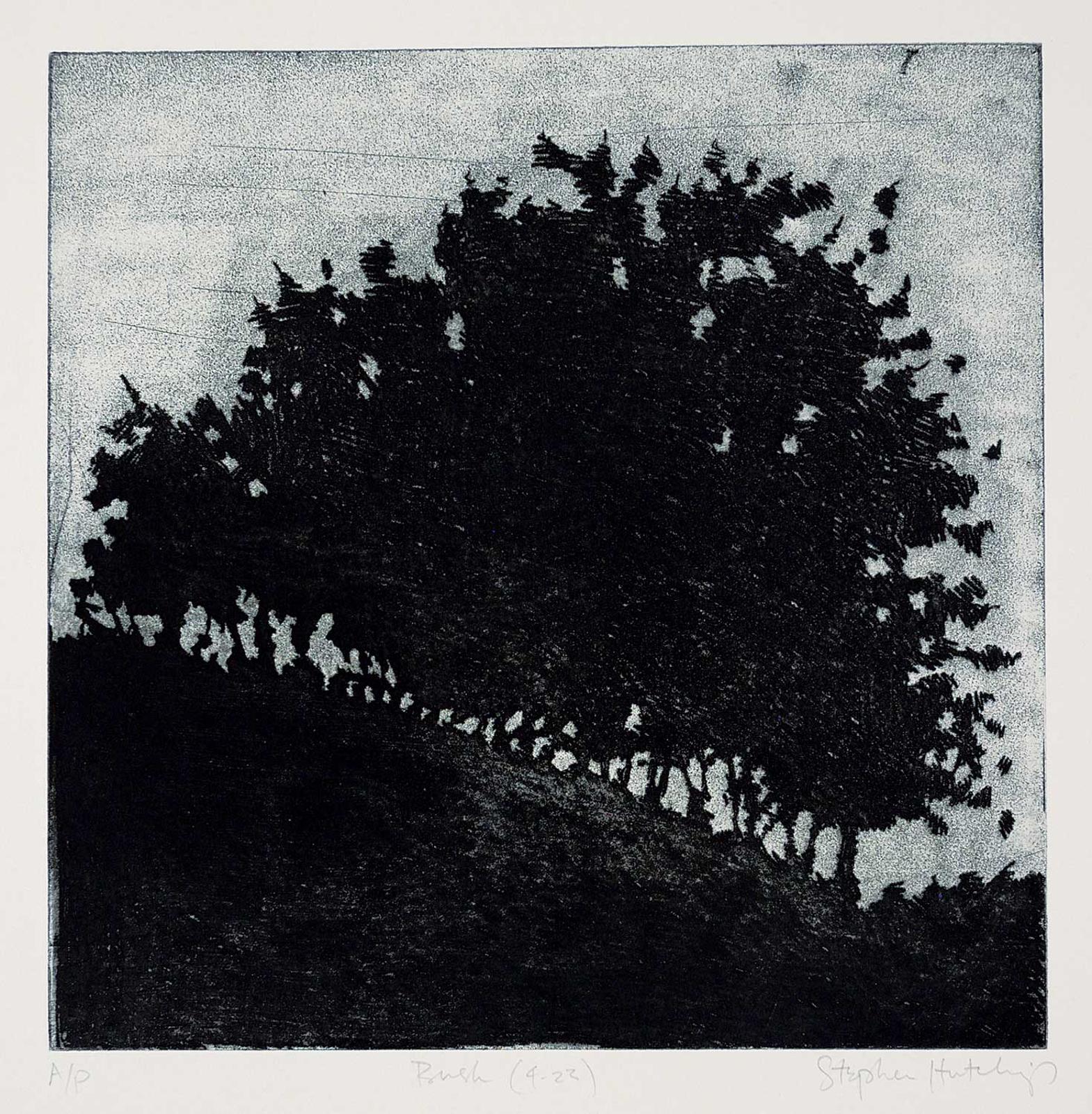 Stephen Hutchings (1948) - Bush [4/23]  #A/P