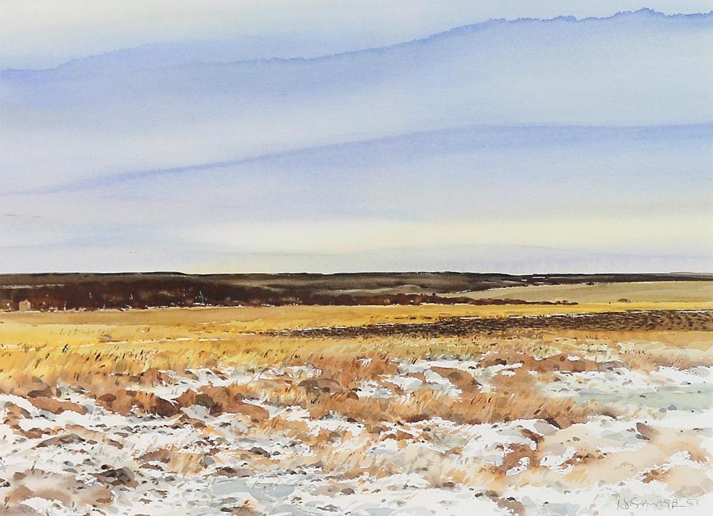 Harry Savage (1938) - Cloud Arch; 1981