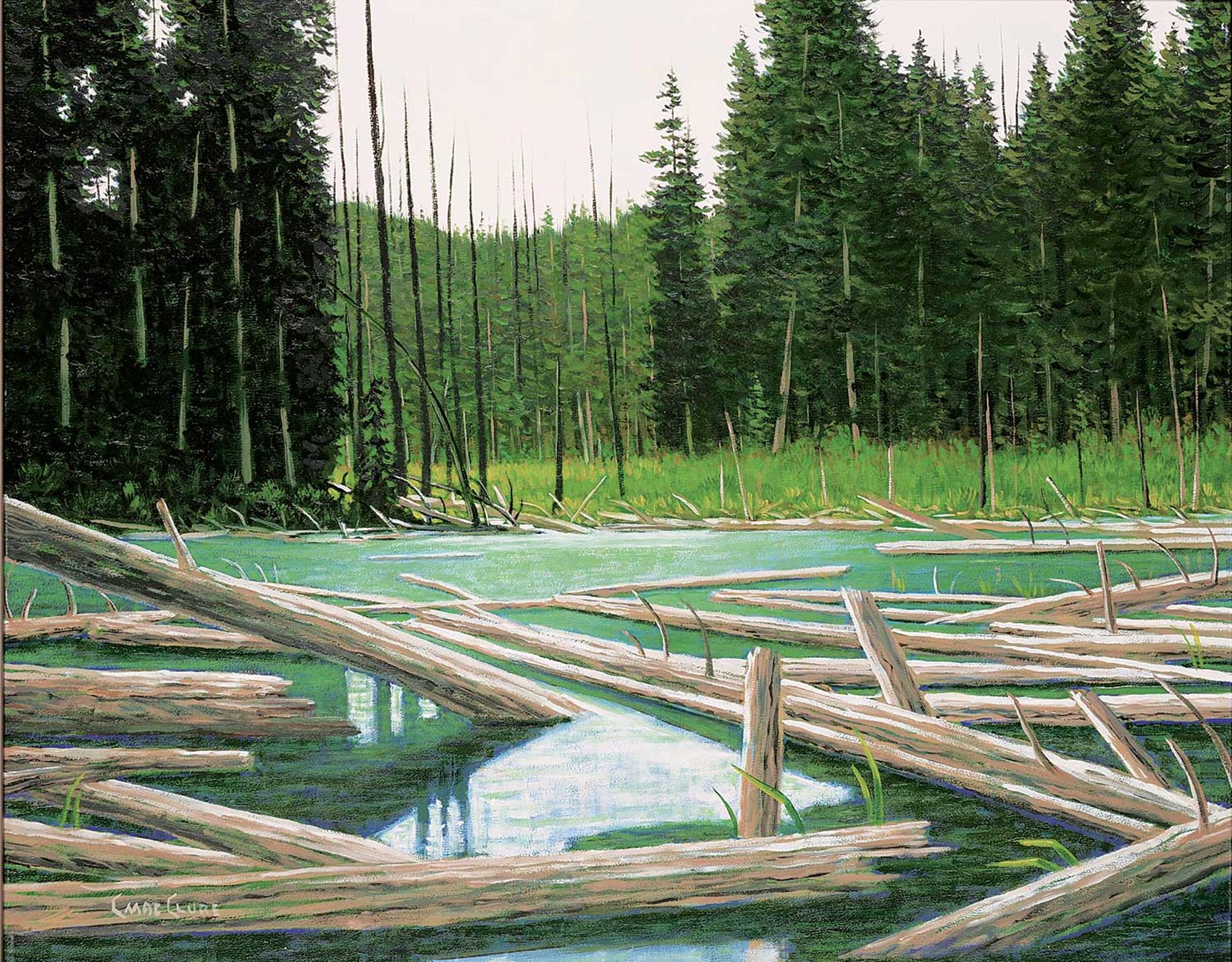 Chris MacClure (1943) - Untitled - End of the Lake