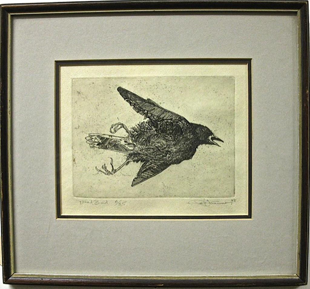 Paul Alexander Fournier (1939) - Dead Bird