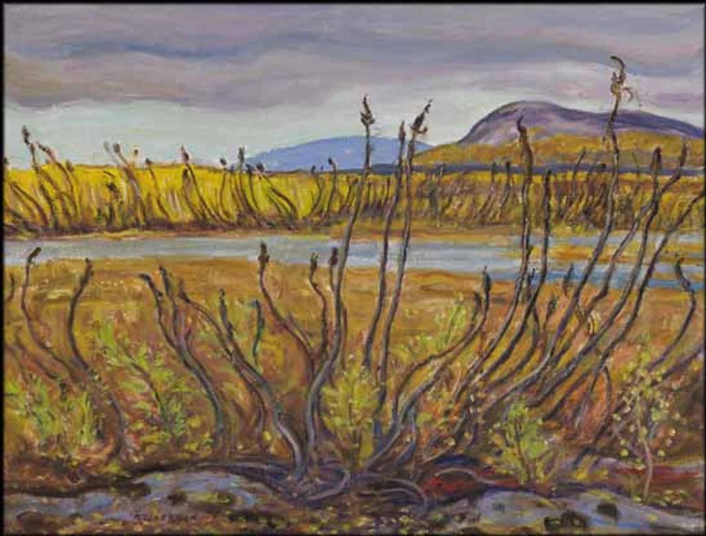Alexander Young (A. Y.) Jackson (1882-1974) - Muskeg on Alaska Highway