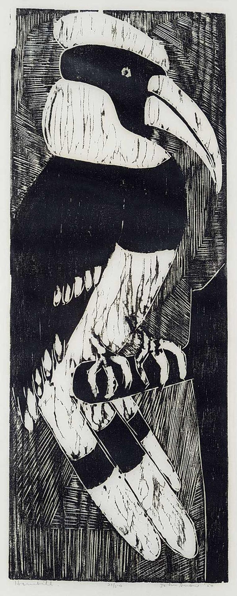 John Harold Thomas Snow (1911-2004) - Hornbill  #21/50