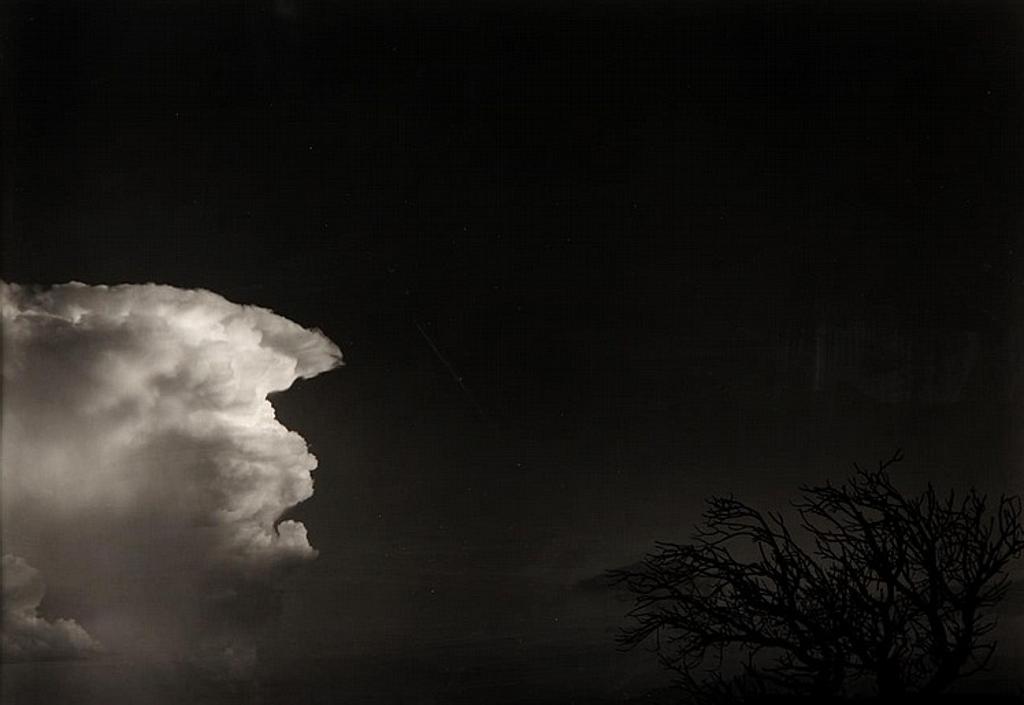 Paul Caponigro (1932) - San Sebastian