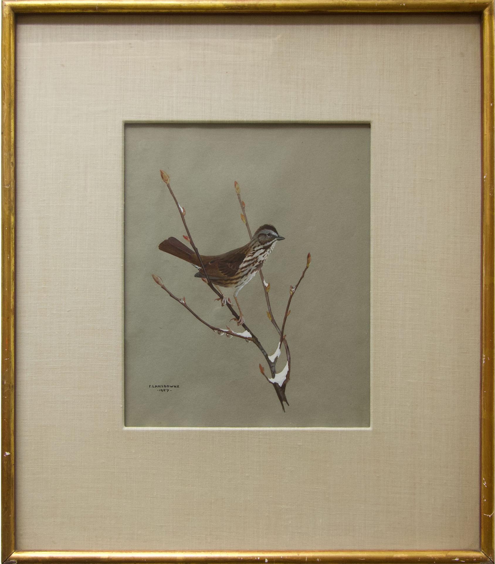James Fenwick Lansdowne (1937-2008) - Song Sparrow