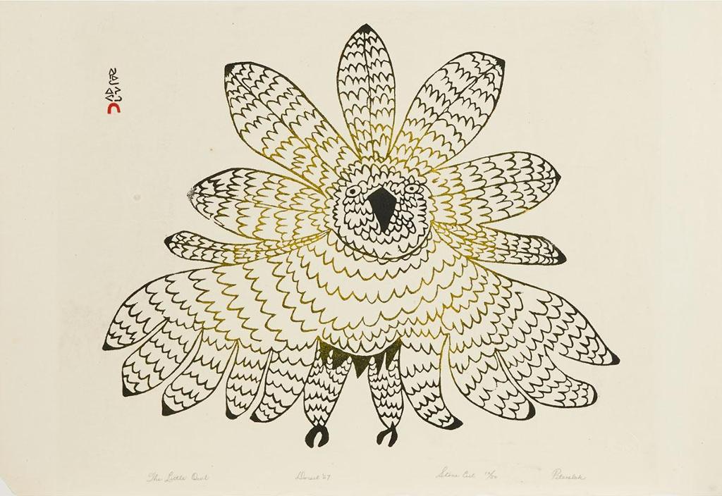 Pitseolak Ashoona (1904-1983) - The Little Owl