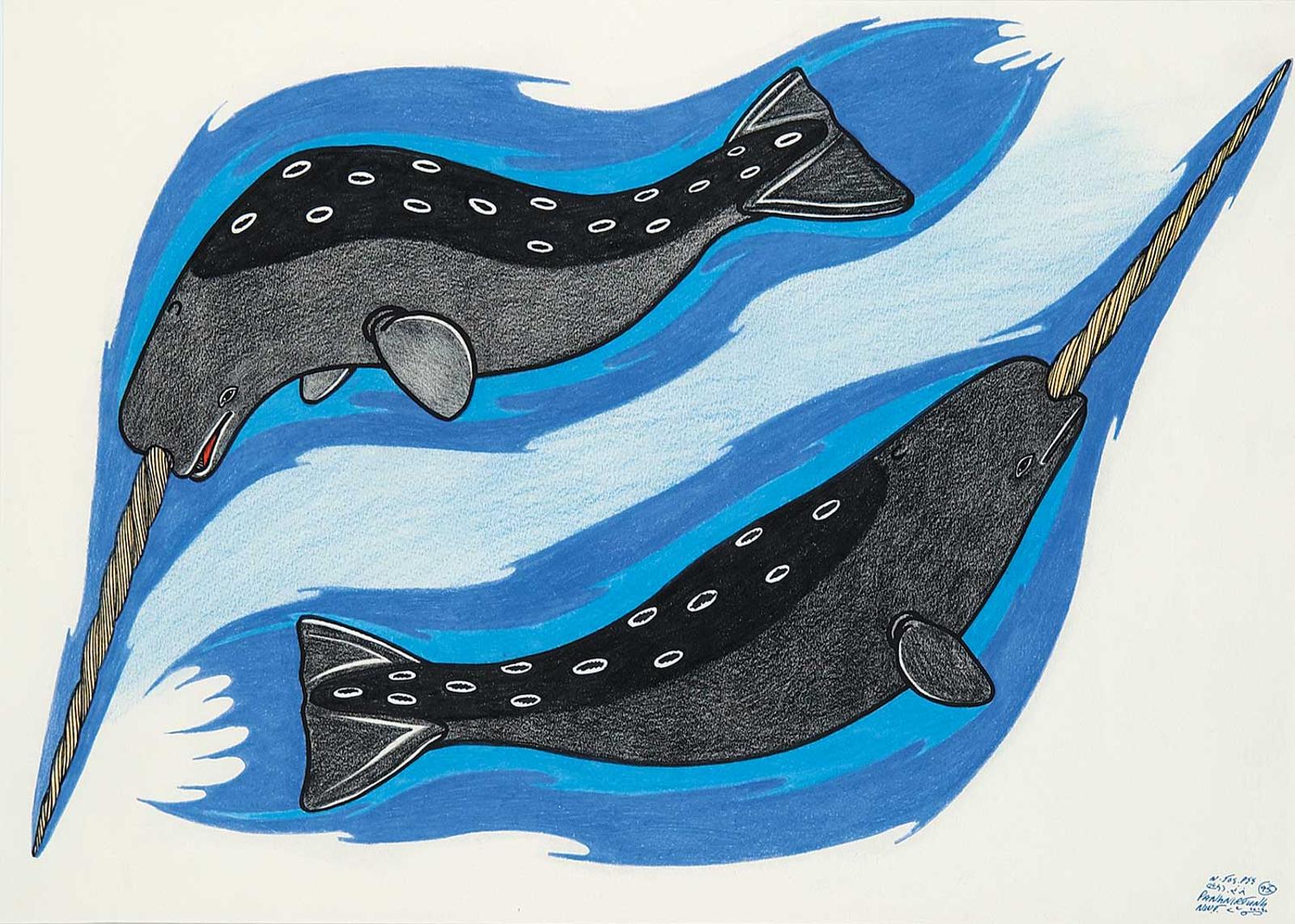 Pee - Untitled - Narwhals