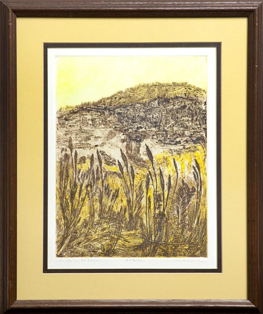 D. Walmsley - Reeds in the Sun