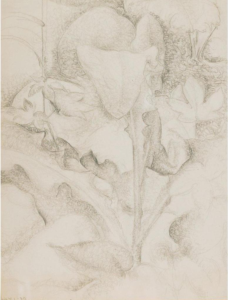 Lionel Lemoine FitzGerald (1890-1956) - Plant
