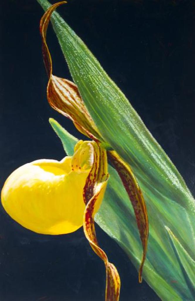 Janet Mader - Alberta Gold; 2011