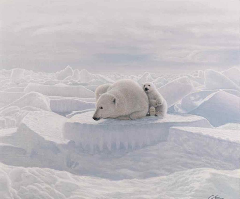 Lorenzo Fracchetti (1948) - Resting on the ice pack