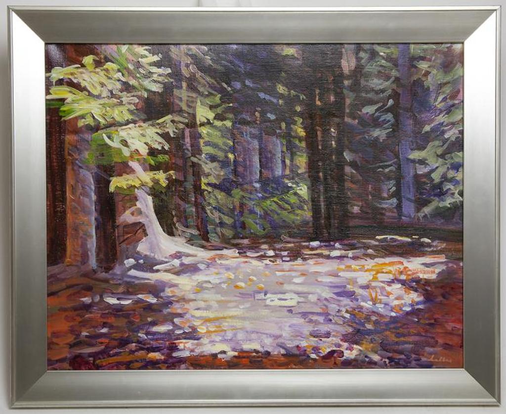 Connie Lellis - Untitled - Pool of Light