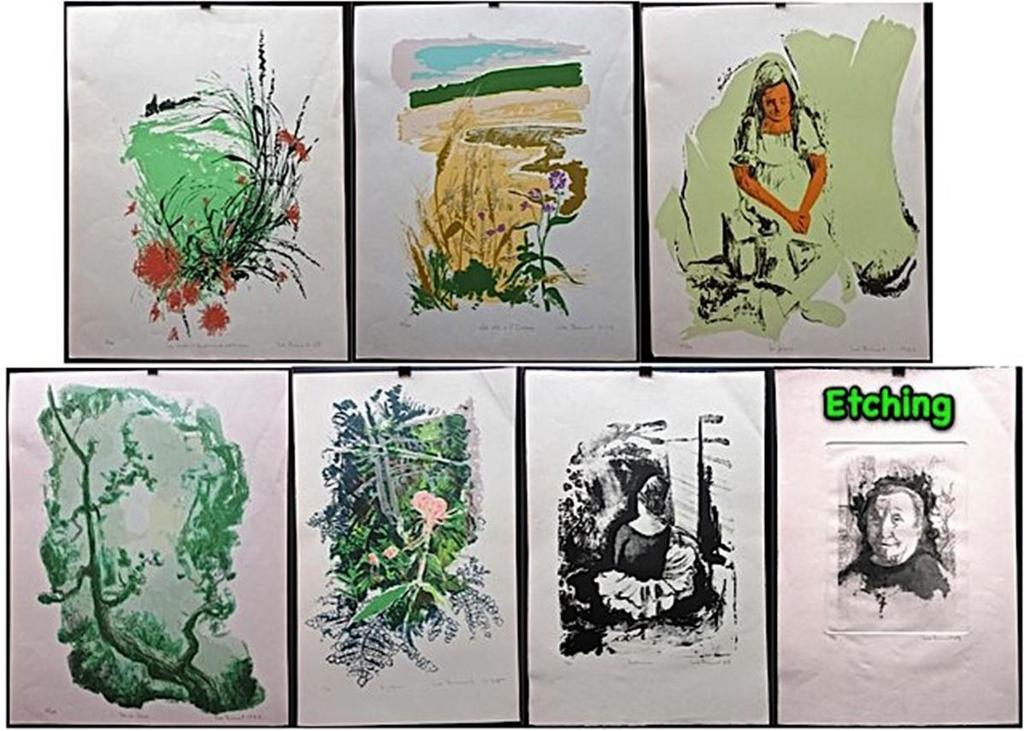 Luc Brunet - Various Titles (In French)