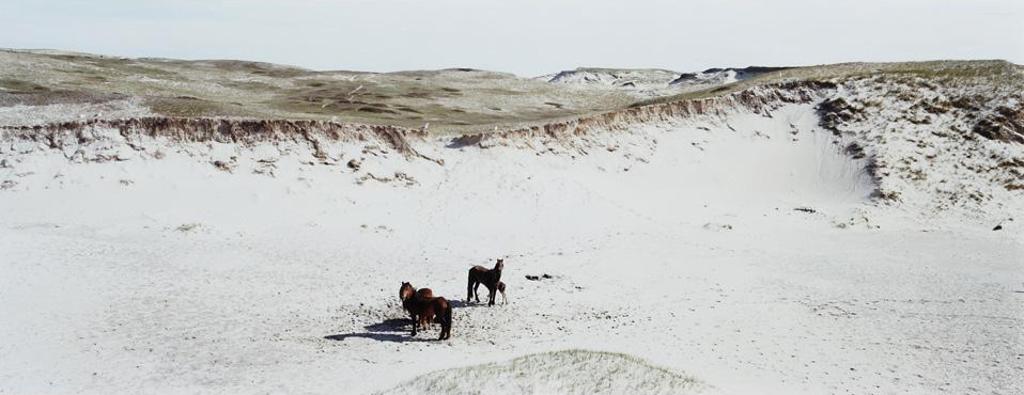 Thaddeus Holownia (1949) - Sable Island, 1985-1994 #9