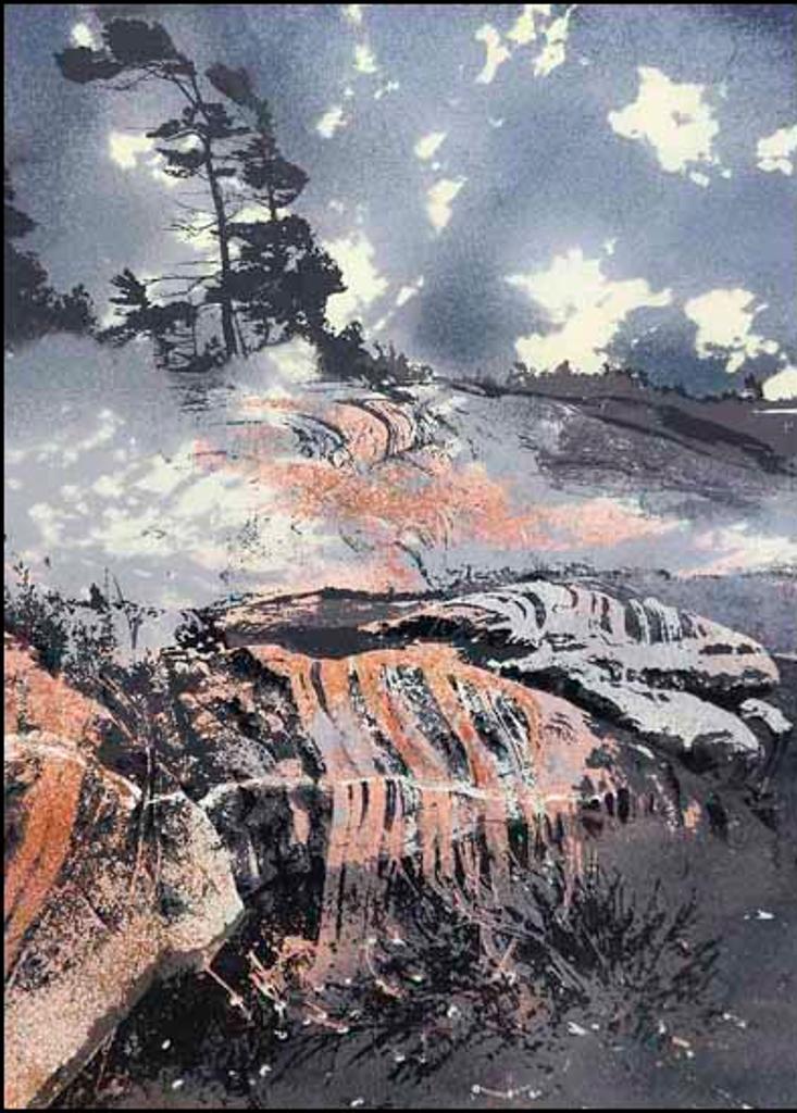 Edward John (Ted) Bartram (1938-2019) - Northern Morning (02052/2013-605)