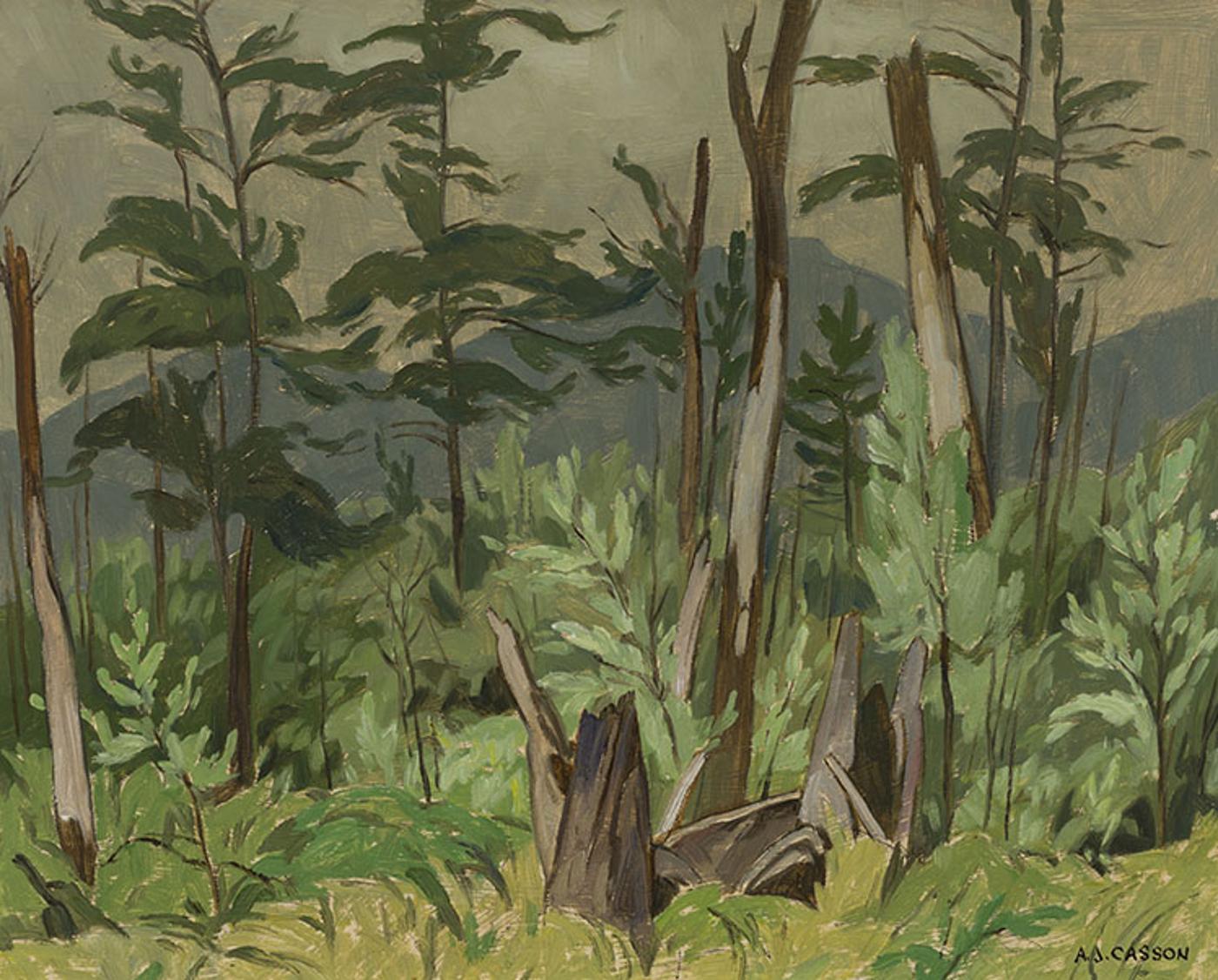 Alfred Joseph (A.J.) Casson (1898-1992) - Woodland - Rockingham Road