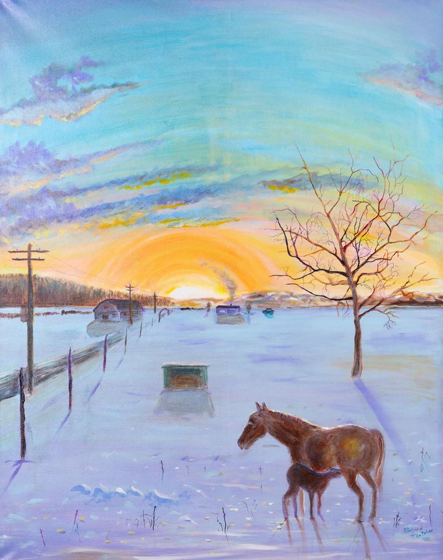 Richard Thatcher (1946) - Equine Sundown
