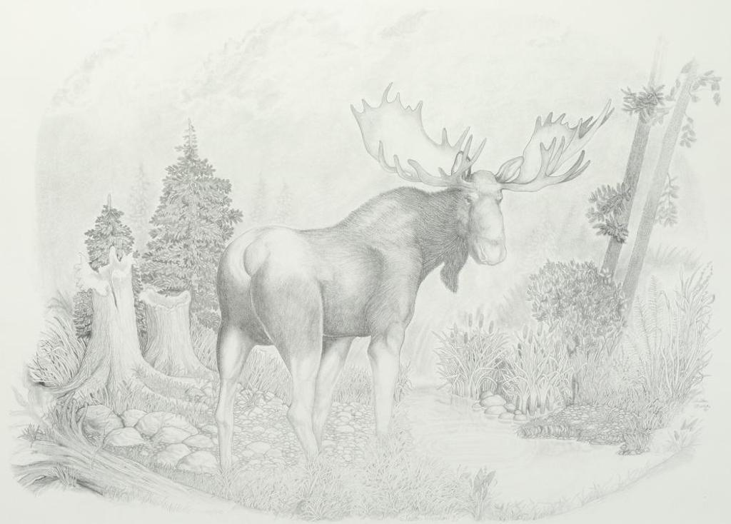 Sheldon Wiwchar - The Moose