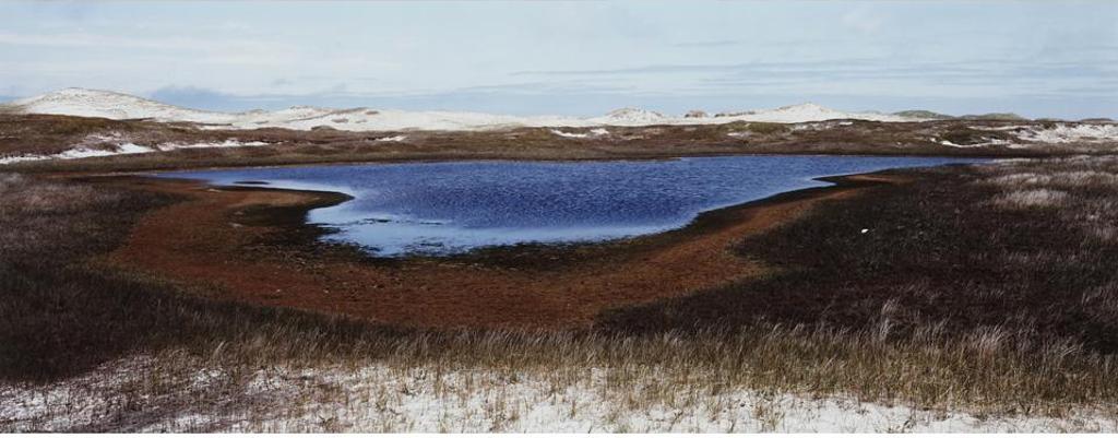Thaddeus Holownia (1949) - Sable Island, 1985-1994 #5