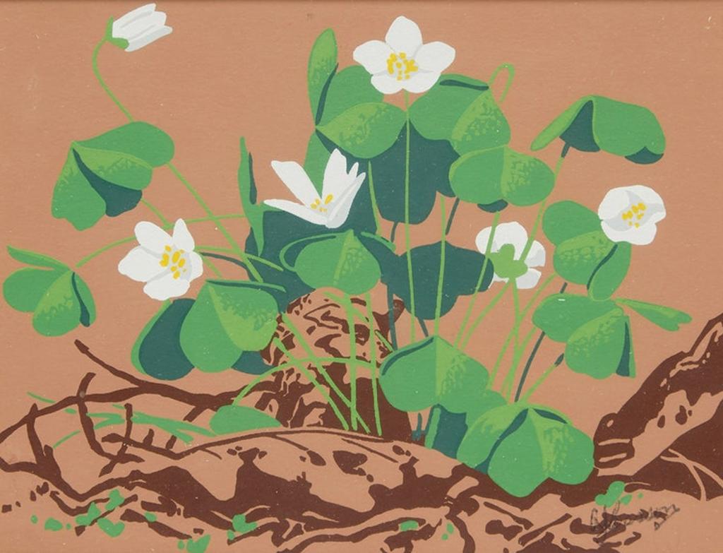 Alfred Joseph (A.J.) Casson (1898-1992) - Trillium, Wood Sorrel, Dogwood