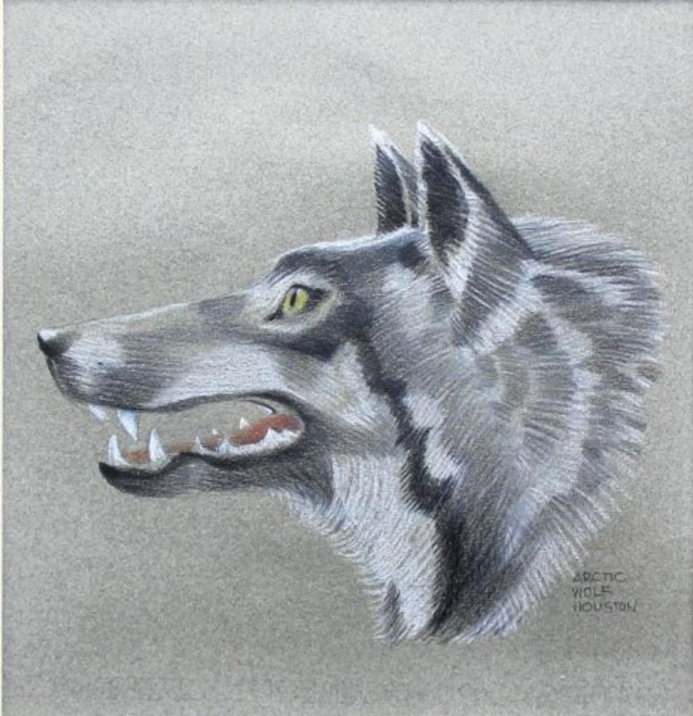 James Archibald Houston (1921-2005) - Arctic Wolf