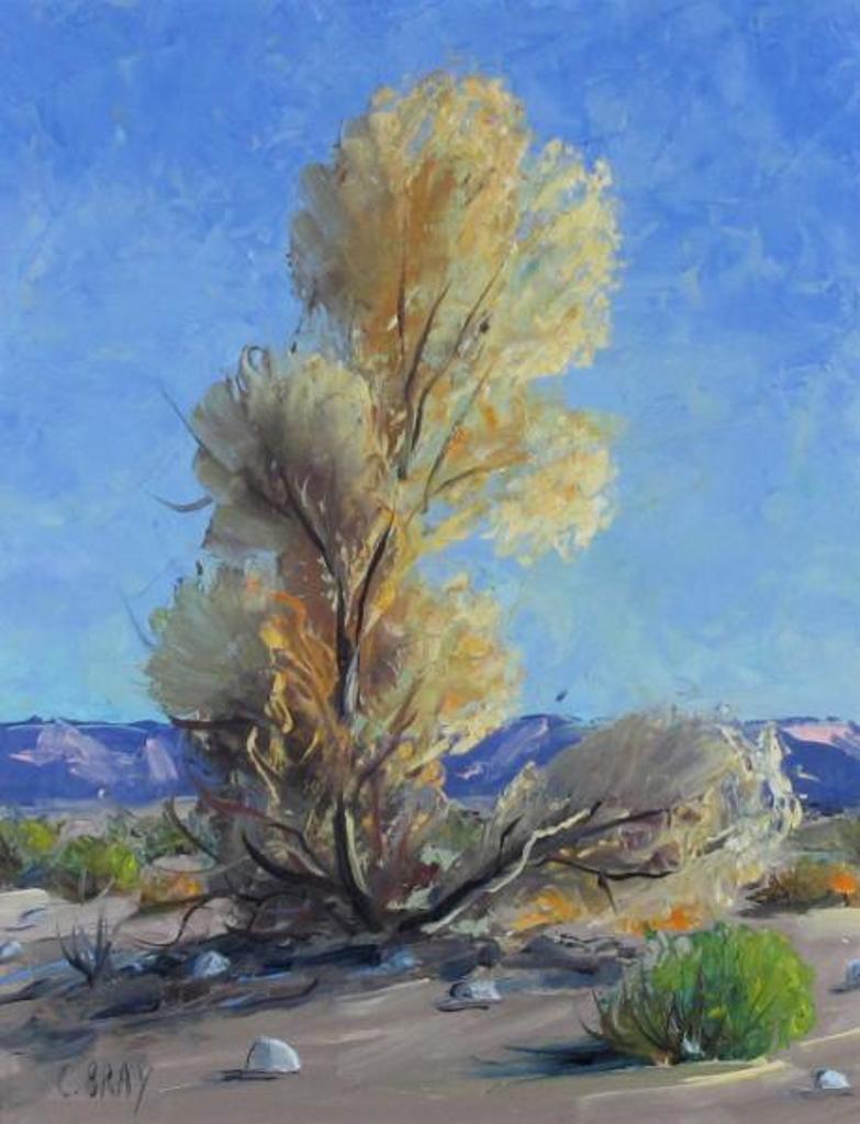 Carl G. Bray - 10 x 8 in