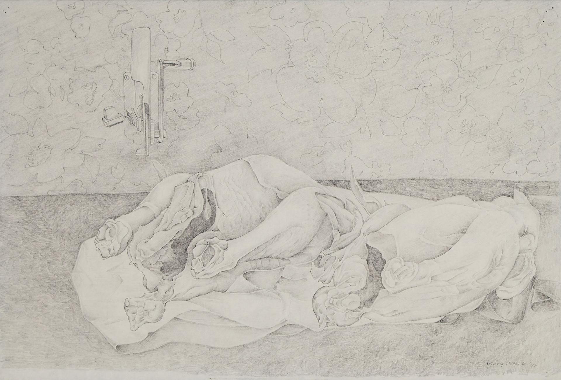 Mary Frances West Pratt (1935-2018) - Study For Eviscerated Chickens, 1971