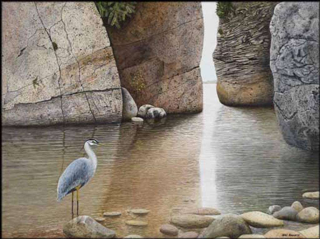 Noel Fogarty - Capilano Heron