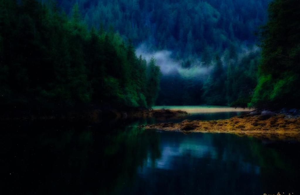 Dana Anjali - Anna Inlet (Haida Gwaii)