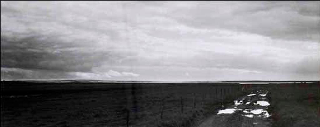 Thaddeus Holownia (1949) - Fort Lawrence Road Looking South (02839/2013-3162)