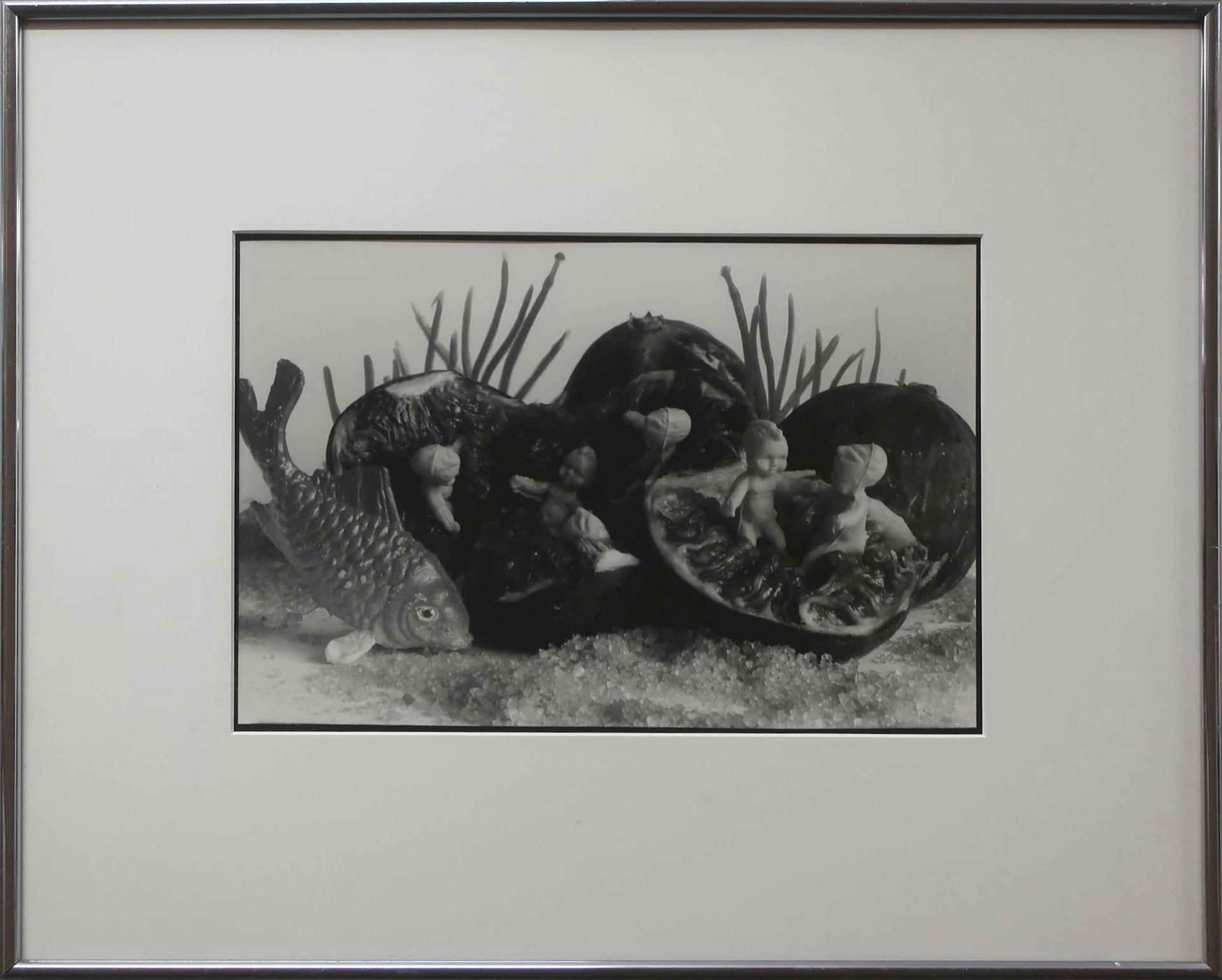 Gabrielle de Montmollin - Fig Babies