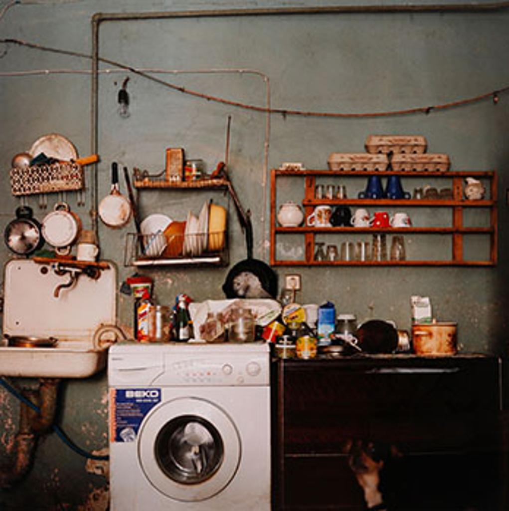 Olga Chagout-Dinova - Kitchen with Dog, St. Petersburg