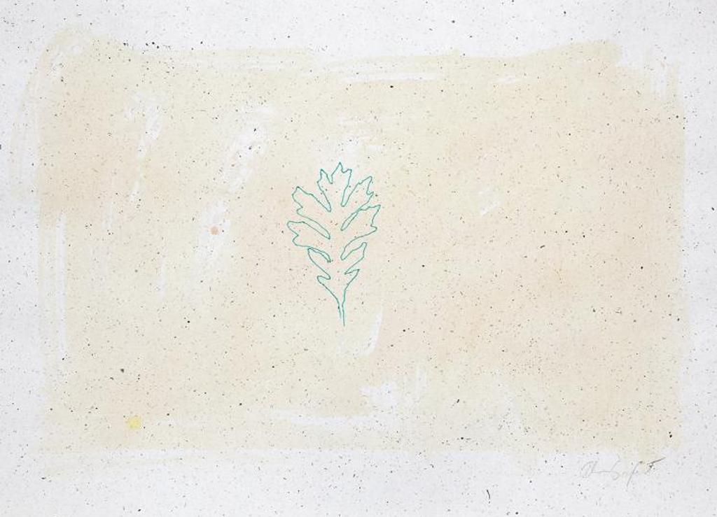 Alan Sonfist (1946) - Untitled - Untitled