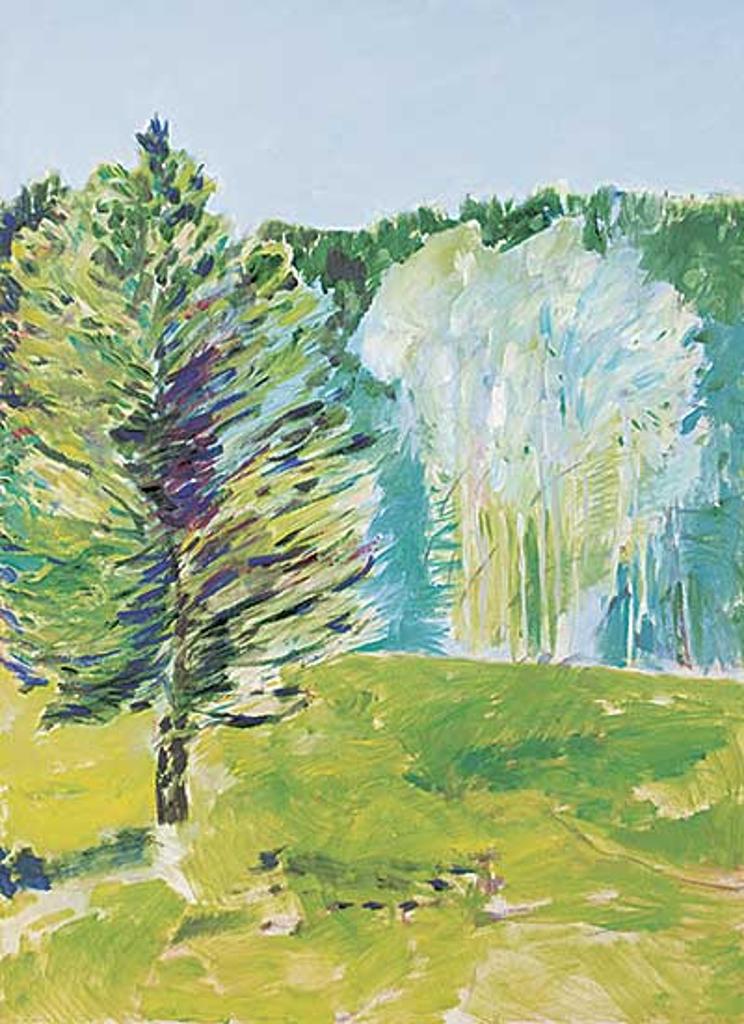 Barbara Ballachey (1949) - Meadow Above Sheep River